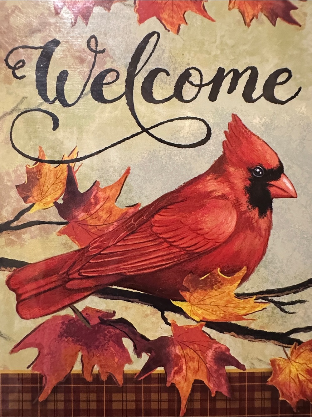 Ruby Red Welcome Cardinal Autumn House Flag by Valley View~NEW!